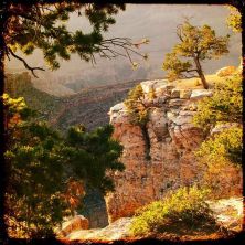 canyon rim.jpg